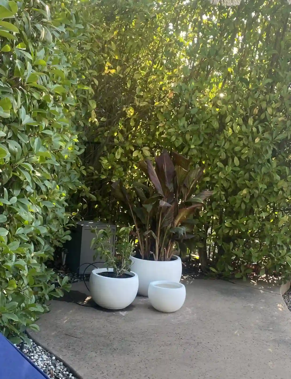 Selecting a set of GRC white pots in different sizes.